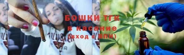 гидропоника Алзамай