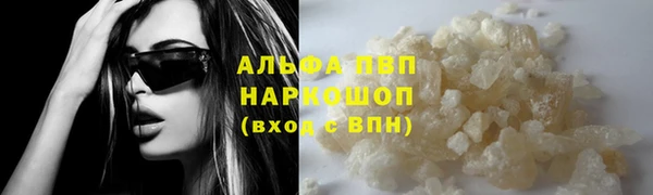 гидропоника Алзамай